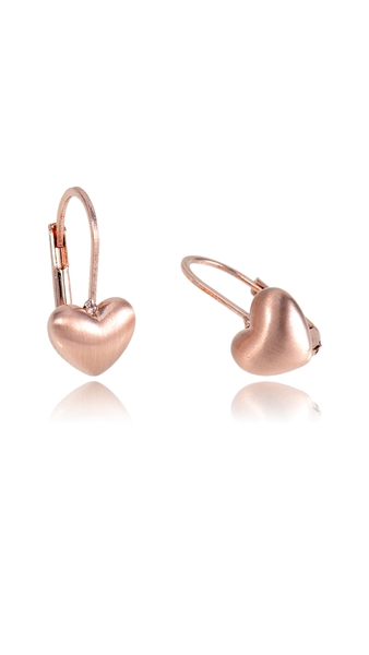 Picture of Iso9001 Qualified Modern Simplicity Rose Gold Plated Hook