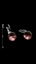 Show details for Good  Red Platinum Plated Hook
