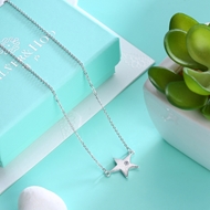 Picture of Best Selling Star White Pendant Necklace