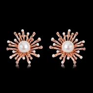 Picture of Zinc Alloy Rose Gold Plated Stud Earrings in Flattering Style