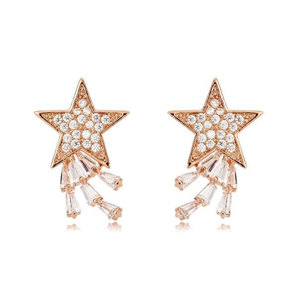 Picture of Fashion Cubic Zirconia Rose Gold Plated Stud Earrings