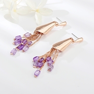 Picture of Funky Small Purple Dangle Earrings