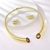 Picture of Dubai Casual Necklace and Earring Set with Fast Delivery