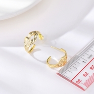 Picture of Hypoallergenic Gold Plated Dubai Stud Earrings with Easy Return