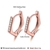 Picture of Rose Gold Plated 925 Sterling Silver Small Hoop Earrings at Great Low Price