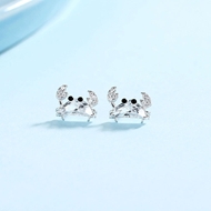 Picture of 925 Sterling Silver Small Stud Earrings Online Only