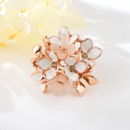 Picture of Exclusive Classic Flowers & Plants Fashion Ring in Exclusive Design