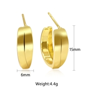Picture of Delicate Gold Plated Big Hoop Earrings with Fast Delivery
