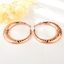 Show details for Zinc Alloy Colorful Dangle Earrings with Unbeatable Quality